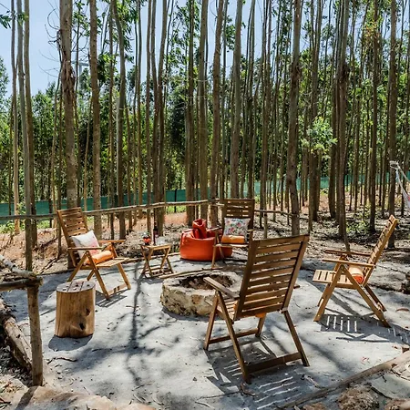 Σπίτι διακοπών A Casa De Pedra Reguengo Grande